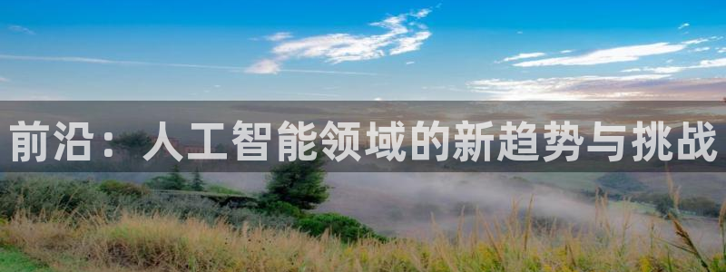 前沿：人工智能领域的新趋势与挑战