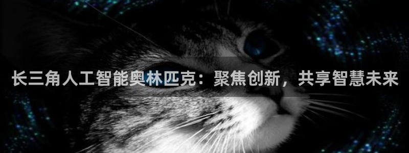 长三角人工智能奥林匹克：聚焦创新，共享智慧未来