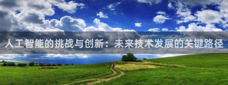 人工智能的挑战与创新：未来技术发展的关键路径