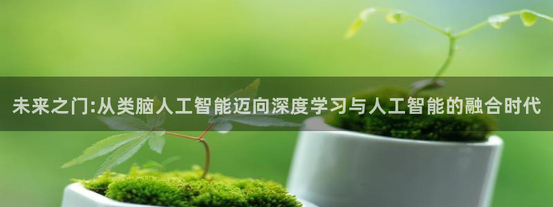 未来之门:从类脑人工智能迈向深度学习与人工智能的融合时代