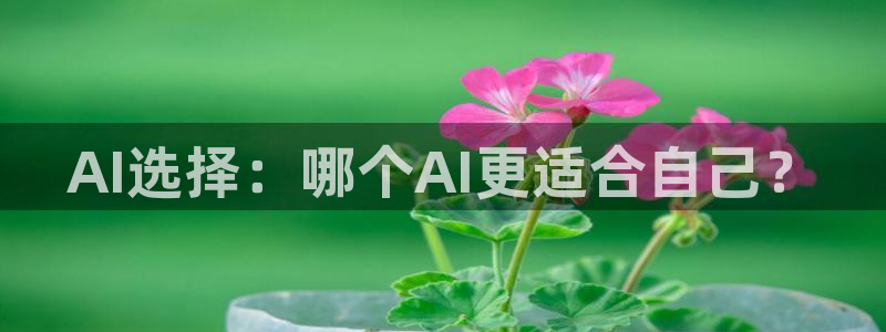 AI选择：哪个AI更适合自己？