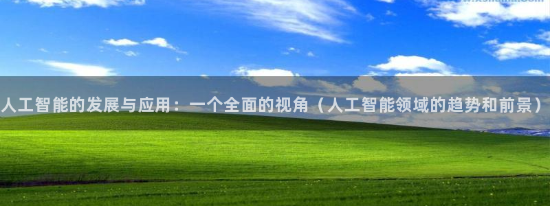 人工智能的发展与应用：一个全面的视角（人工智能领域的趋势和前景）