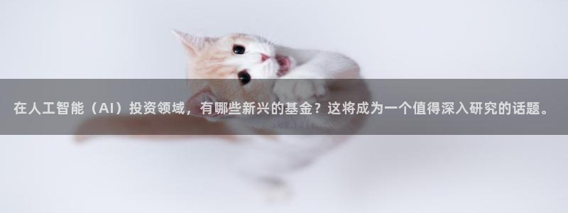 在人工智能（AI）投资领域，有哪些新兴的基金？这将成为一个值得深入研究的话题。