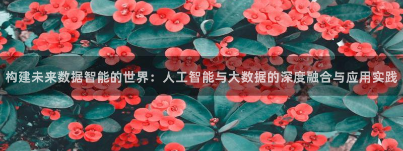 构建未来数据智能的世界：人工智能与大数据的深度融合与应用实践