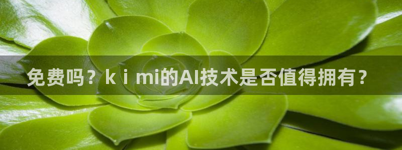 免费吗？kⅰmi的AI技术是否值得拥有？