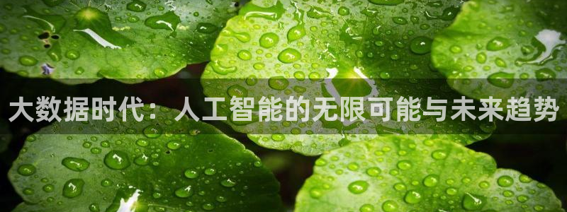 大数据时代：人工智能的无限可能与未来趋势