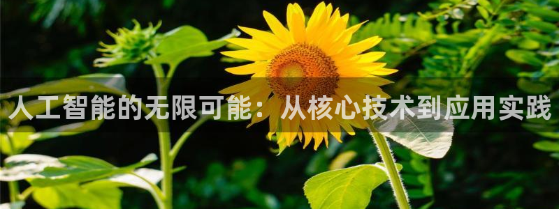 人工智能的无限可能：从核心技术到应用实践