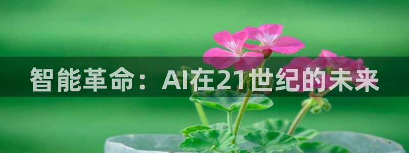 智能革命：AI在21世纪的未来