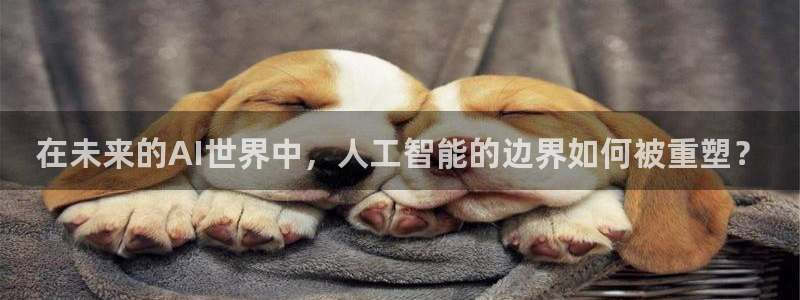 在未来的AI世界中，人工智能的边界如何被重塑？