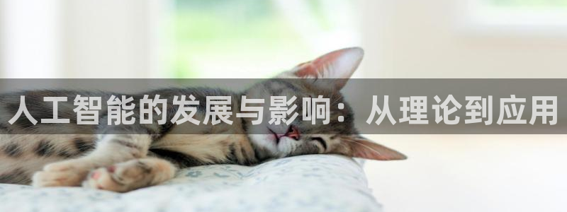 人工智能的发展与影响：从理论到应用