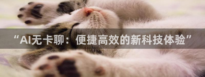 “AI无卡聊：便捷高效的新科技体验”