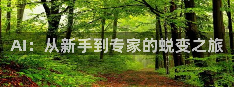 AI：从新手到专家的蜕变之旅