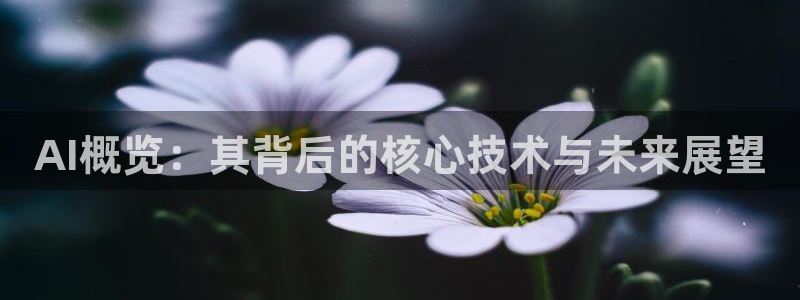 AI概览：其背后的核心技术与未来展望