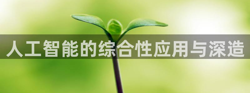 人工智能的综合性应用与深造