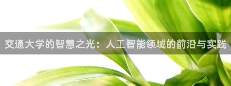 交通大学的智慧之光：人工智能领域的前沿与实践