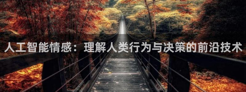人工智能情感：理解人类行为与决策的前沿技术