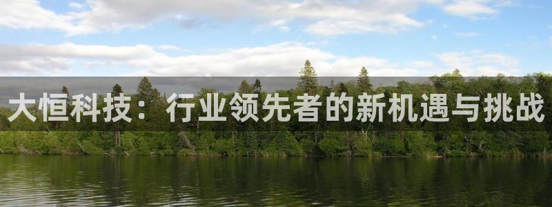 大恒科技：行业领先者的新机遇与挑战