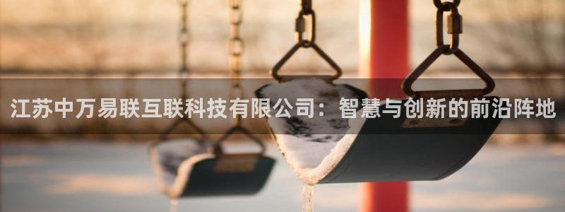 江苏中万易联互联科技有限公司：智慧与创新的前沿阵地