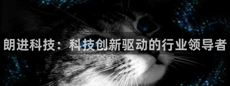 朗进科技：科技创新驱动的行业领导者