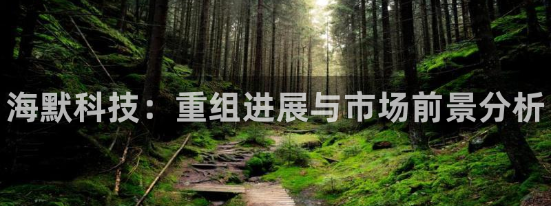 海默科技：重组进展与市场前景分析