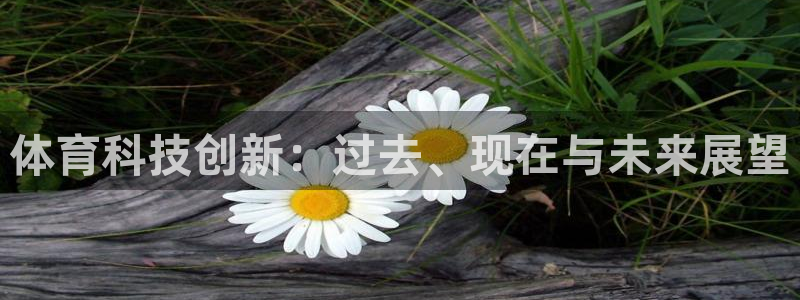 体育科技创新：过去、现在与未来展望