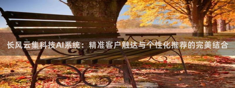 长风云集科技AI系统：精准客户触达与个性化推荐的完美结合