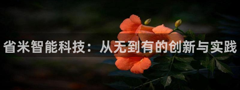 省米智能科技：从无到有的创新与实践