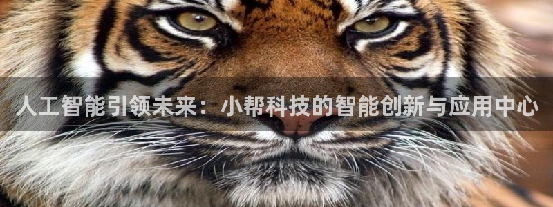 人工智能引领未来：小帮科技的智能创新与应用中心