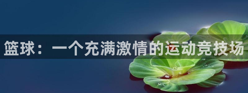 篮球：一个充满激情的运动竞技场