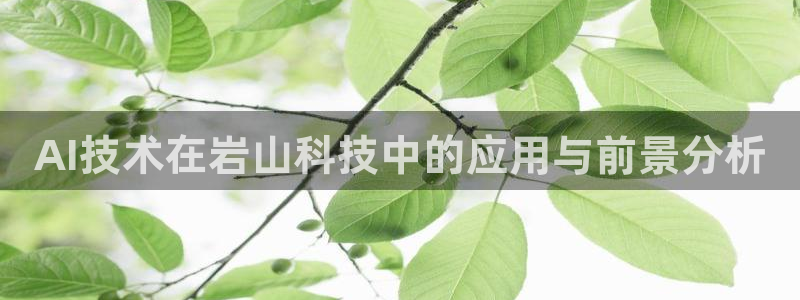 AI技术在岩山科技中的应用与前景分析