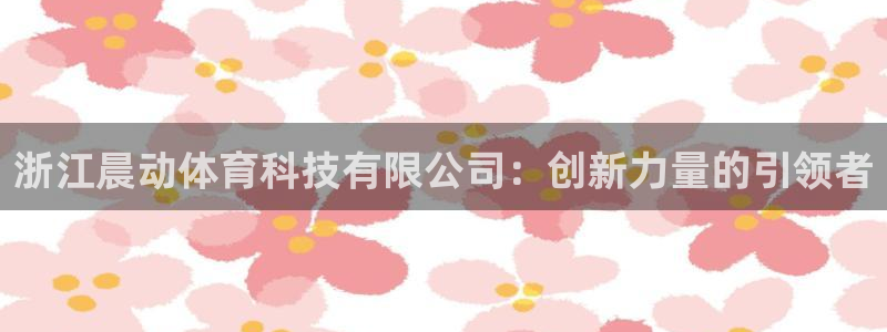 浙江晨动体育科技有限公司：创新力量的引领者