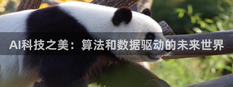 AI科技之美：算法和数据驱动的未来世界