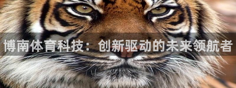 博南体育科技：创新驱动的未来领航者