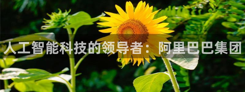人工智能科技的领导者：阿里巴巴集团