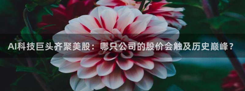 AI科技巨头齐聚美股：哪只公司的股价会触及历史巅峰？