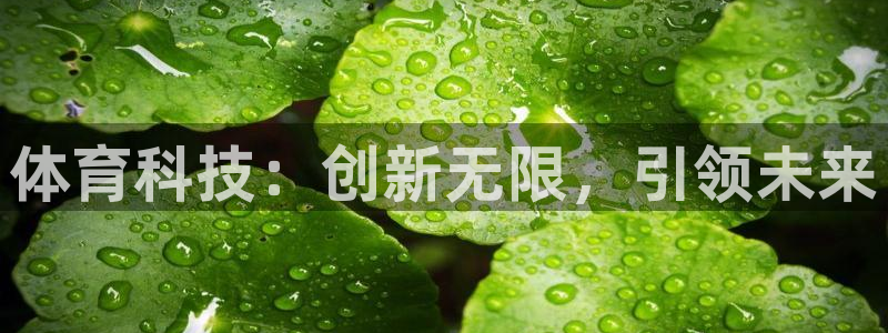 体育科技：创新无限，引领未来
