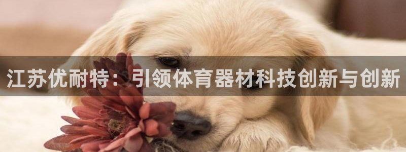 江苏优耐特：引领体育器材科技创新与创新