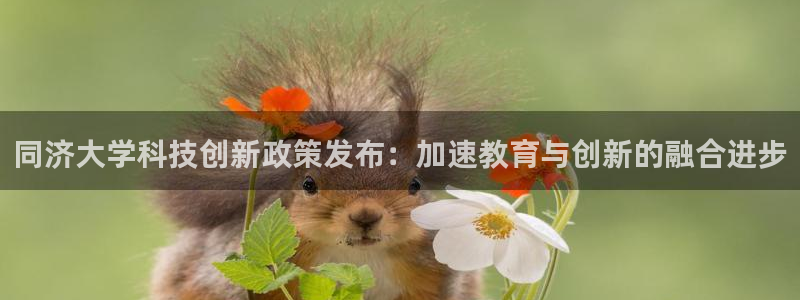 同济大学科技创新政策发布：加速教育与创新的融合进步