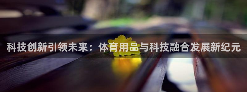 科技创新引领未来：体育用品与科技融合发展新纪元