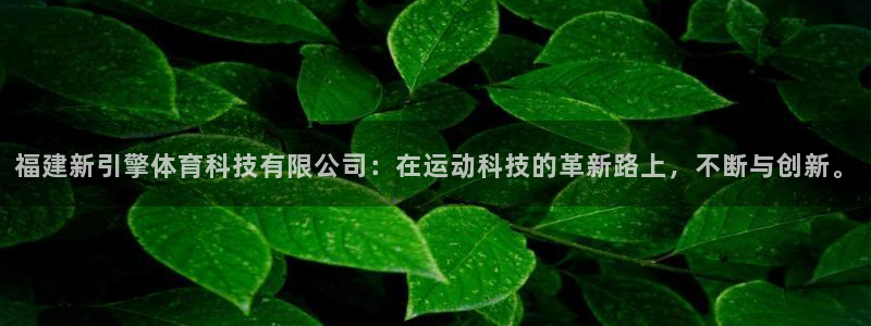 福建新引擎体育科技有限公司：在运动科技的革新路上，不断与创新。