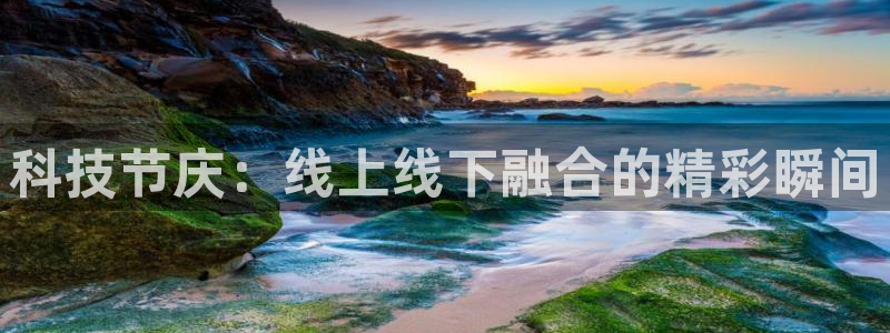 科技节庆：线上线下融合的精彩瞬间