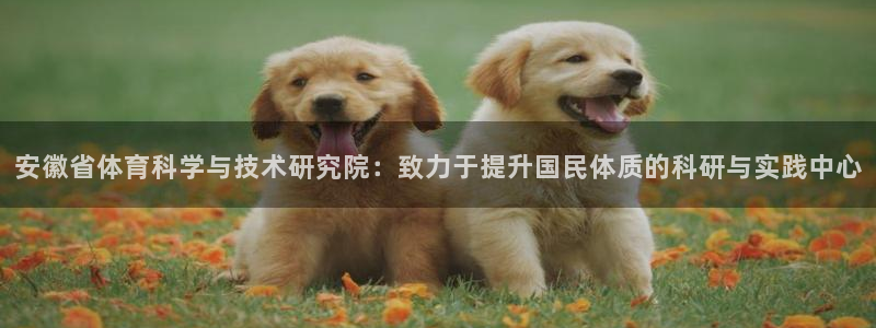 安徽省体育科学与技术研究院：致力于提升国民体质的科研与实践中心