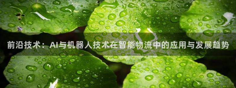 前沿技术：AI与机器人技术在智能物流中的应用与发展趋势