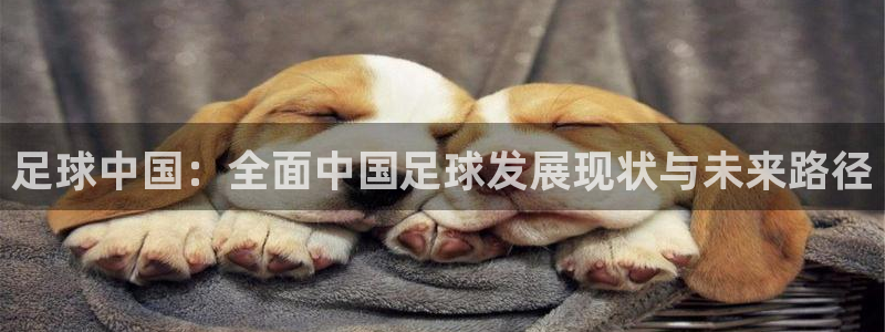 足球中国：全面中国足球发展现状与未来路径