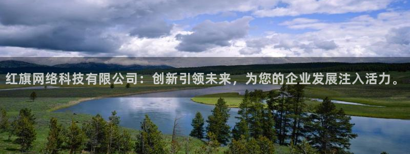 红旗网络科技有限公司：创新引领未来，为您的企业发展注入活力。