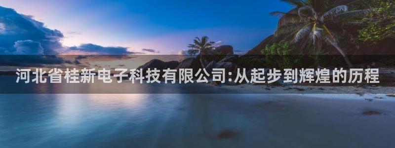 河北省桂新电子科技有限公司:从起步到辉煌的历程