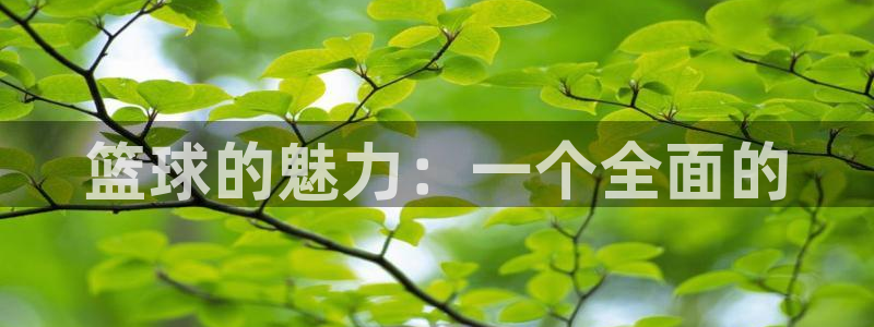 篮球的魅力：一个全面的