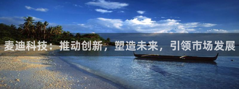 麦迪科技：推动创新，塑造未来，引领市场发展