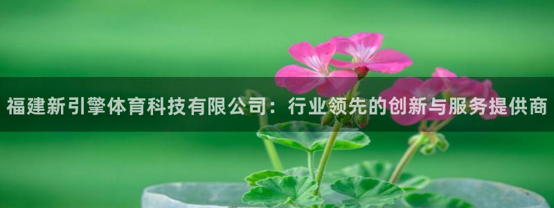 福建新引擎体育科技有限公司：行业领先的创新与服务提供商