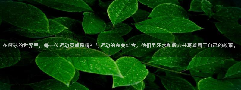 在篮球的世界里，每一位运动员都是精神与运动的完美结合，他们用汗水和毅力书写着属于自己的故事。